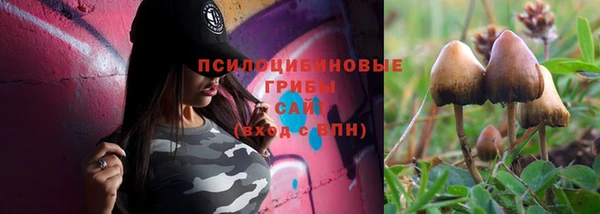 таблы Вяземский