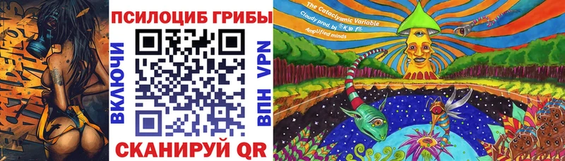цена   Вилюйск  Галлюциногенные грибы Psilocybe 